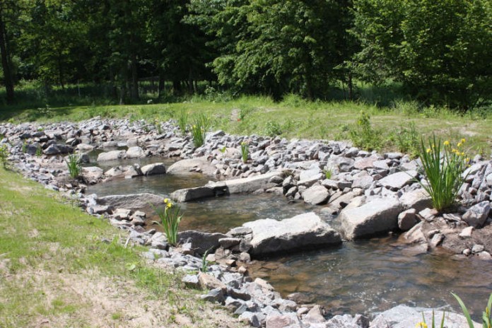Die Queich an der Holzmühle.